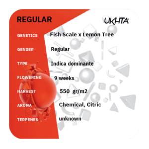 Fish Scale x Lemon Tree [reg]